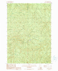 Ivers Peak Oregon Historical topographic map, 1:24000 scale, 7.5 X 7.5 Minute, Year 1990