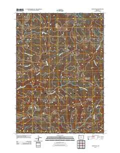 Ivers Peak Oregon Historical topographic map, 1:24000 scale, 7.5 X 7.5 Minute, Year 2011