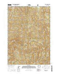 Ivers Peak Oregon Current topographic map, 1:24000 scale, 7.5 X 7.5 Minute, Year 2014
