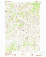 Izee Oregon Historical topographic map, 1:24000 scale, 7.5 X 7.5 Minute, Year 1990