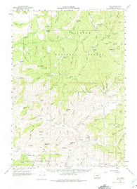 Izee Oregon Historical topographic map, 1:62500 scale, 15 X 15 Minute, Year 1961