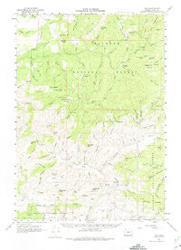 Izee Oregon Historical topographic map, 1:62500 scale, 15 X 15 Minute, Year 1961