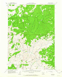 Izee Oregon Historical topographic map, 1:62500 scale, 15 X 15 Minute, Year 1961