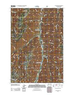 Jaynes Ridge Oregon Historical topographic map, 1:24000 scale, 7.5 X 7.5 Minute, Year 2011
