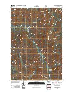 Jim White Ridge Oregon Historical topographic map, 1:24000 scale, 7.5 X 7.5 Minute, Year 2011