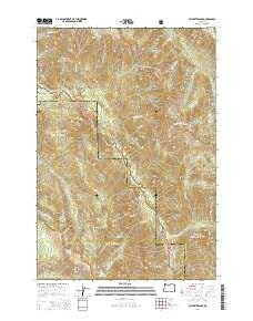 Jim White Ridge Oregon Current topographic map, 1:24000 scale, 7.5 X 7.5 Minute, Year 2014