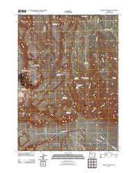 Johnny Creek SW Oregon Historical topographic map, 1:24000 scale, 7.5 X 7.5 Minute, Year 2011