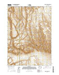 Johnny Creek SW Oregon Current topographic map, 1:24000 scale, 7.5 X 7.5 Minute, Year 2014