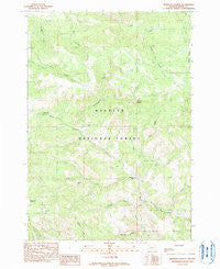 Johnson Saddle Oregon Historical topographic map, 1:24000 scale, 7.5 X 7.5 Minute, Year 1990