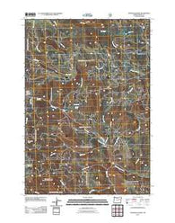 Johnson Saddle Oregon Historical topographic map, 1:24000 scale, 7.5 X 7.5 Minute, Year 2011