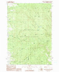 Jump-Off Joe Mountain Oregon Historical topographic map, 1:24000 scale, 7.5 X 7.5 Minute, Year 1990