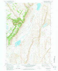 Juniper Lake Oregon Historical topographic map, 1:24000 scale, 7.5 X 7.5 Minute, Year 1981