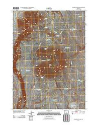 Juniper Mountain Oregon Historical topographic map, 1:24000 scale, 7.5 X 7.5 Minute, Year 2011