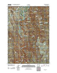 Juntura Oregon Historical topographic map, 1:24000 scale, 7.5 X 7.5 Minute, Year 2011