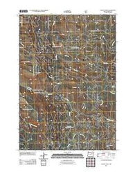Keeney Point Oregon Historical topographic map, 1:24000 scale, 7.5 X 7.5 Minute, Year 2011