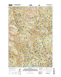 Keeney Point Oregon Current topographic map, 1:24000 scale, 7.5 X 7.5 Minute, Year 2014