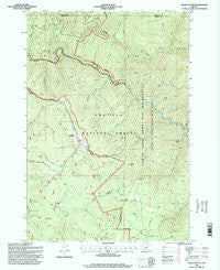 Kelsay Butte Oregon Historical topographic map, 1:24000 scale, 7.5 X 7.5 Minute, Year 1995