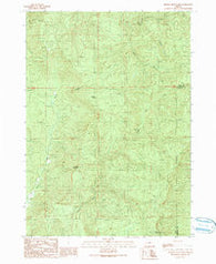 Kenyon Mountain Oregon Historical topographic map, 1:24000 scale, 7.5 X 7.5 Minute, Year 1990