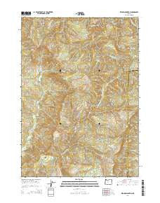 Kenyon Mountain Oregon Current topographic map, 1:24000 scale, 7.5 X 7.5 Minute, Year 2014