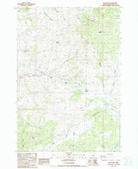 Keyes Mtn Oregon Historical topographic map, 1:24000 scale, 7.5 X 7.5 Minute, Year 1988
