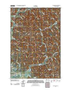 Kilchis River Oregon Historical topographic map, 1:24000 scale, 7.5 X 7.5 Minute, Year 2011