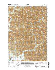 Kilchis River Oregon Current topographic map, 1:24000 scale, 7.5 X 7.5 Minute, Year 2014