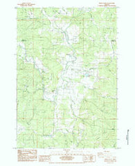Kings Valley Oregon Historical topographic map, 1:24000 scale, 7.5 X 7.5 Minute, Year 1984