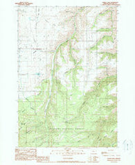 Kinney Lake Oregon Historical topographic map, 1:24000 scale, 7.5 X 7.5 Minute, Year 1990