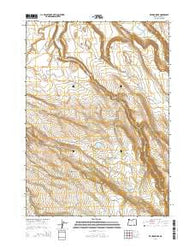 Krumbo Ridge Oregon Current topographic map, 1:24000 scale, 7.5 X 7.5 Minute, Year 2014