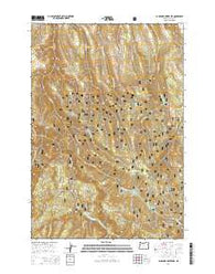 La Grande Reservoir Oregon Current topographic map, 1:24000 scale, 7.5 X 7.5 Minute, Year 2014