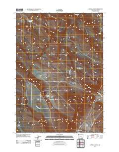Lambing Canyon Oregon Historical topographic map, 1:24000 scale, 7.5 X 7.5 Minute, Year 2011