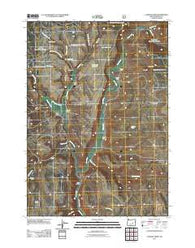 Landing Creek Oregon Historical topographic map, 1:24000 scale, 7.5 X 7.5 Minute, Year 2011