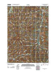 Lane Mountain Oregon Historical topographic map, 1:24000 scale, 7.5 X 7.5 Minute, Year 2011