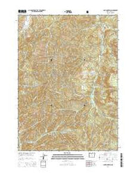Lane Mountain Oregon Current topographic map, 1:24000 scale, 7.5 X 7.5 Minute, Year 2014