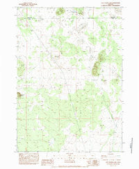 Last Chance Lake Oregon Historical topographic map, 1:24000 scale, 7.5 X 7.5 Minute, Year 1983