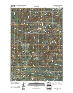 Laurel Mountain Oregon Historical topographic map, 1:24000 scale, 7.5 X 7.5 Minute, Year 2011