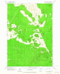 Lava Cast Forest Oregon Historical topographic map, 1:24000 scale, 7.5 X 7.5 Minute, Year 1963