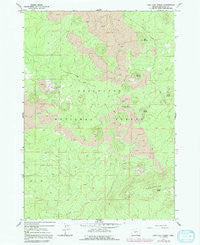 Lava Cast Forest Oregon Historical topographic map, 1:24000 scale, 7.5 X 7.5 Minute, Year 1963