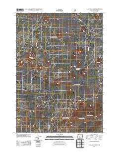Lava Cast Forest Oregon Historical topographic map, 1:24000 scale, 7.5 X 7.5 Minute, Year 2011