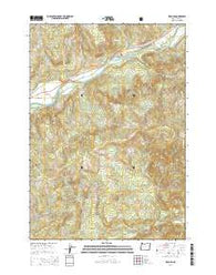 Leaburg Oregon Current topographic map, 1:24000 scale, 7.5 X 7.5 Minute, Year 2014