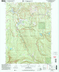 Lee Thomas Crossing Oregon Historical topographic map, 1:24000 scale, 7.5 X 7.5 Minute, Year 2004