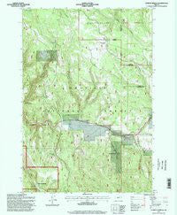 Lehman Springs Oregon Historical topographic map, 1:24000 scale, 7.5 X 7.5 Minute, Year 1995