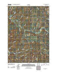 Letz Creek Oregon Historical topographic map, 1:24000 scale, 7.5 X 7.5 Minute, Year 2011
