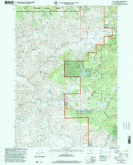 Lewis Creek Oregon Historical topographic map, 1:24000 scale, 7.5 X 7.5 Minute, Year 1998