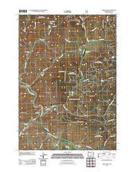 Lewis Creek Oregon Historical topographic map, 1:24000 scale, 7.5 X 7.5 Minute, Year 2011