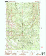 Lick Creek Oregon Historical topographic map, 1:24000 scale, 7.5 X 7.5 Minute, Year 1990