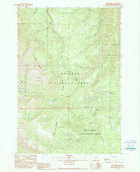 Lick Creek Oregon Historical topographic map, 1:24000 scale, 7.5 X 7.5 Minute, Year 1990