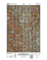 Lick Creek Oregon Historical topographic map, 1:24000 scale, 7.5 X 7.5 Minute, Year 2011