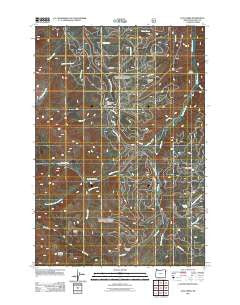 Lick Creek Oregon Historical topographic map, 1:24000 scale, 7.5 X 7.5 Minute, Year 2011