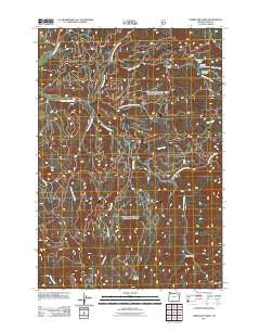 Limber Jim Creek Oregon Historical topographic map, 1:24000 scale, 7.5 X 7.5 Minute, Year 2011